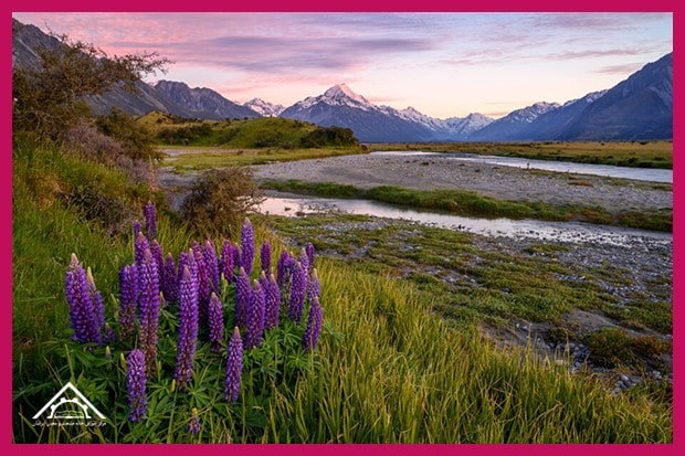 تاثیر دیافراگم