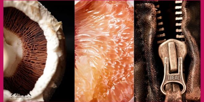 آموزش عمق میدان در عکاسی