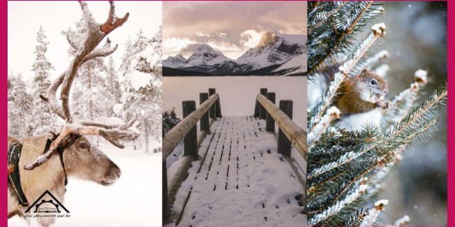 آموزش عکاسی در فصل زمستان