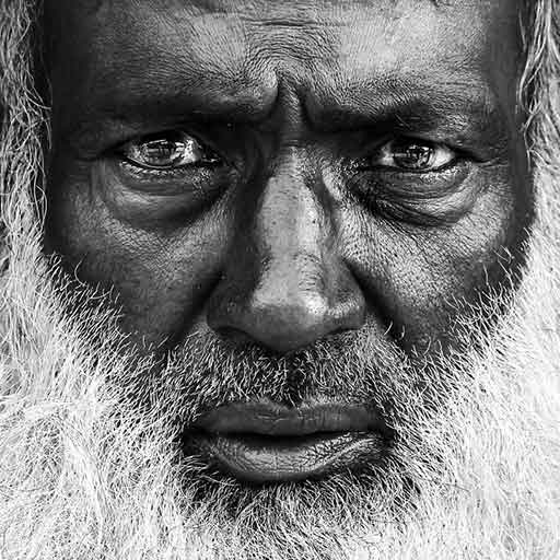 عکاسی-با-لنز-ماکرو عکاسی با لنز ماکرو